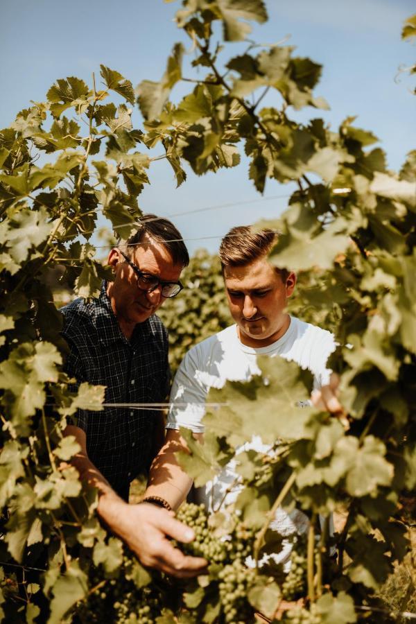 Kultur Weingut Kästenburg Ratsch an der Weinstraße Exterior foto